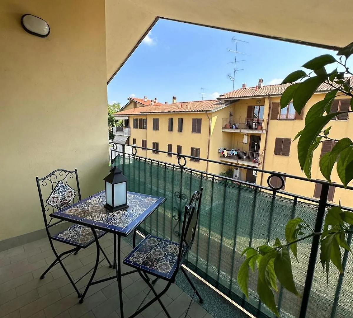 My Little House Malpensa contacts